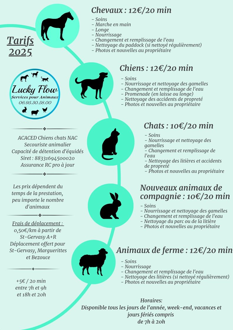 Colorful_Minimalist_Design_Process_Infographic_Poster_20250415_141207_0000.jpg