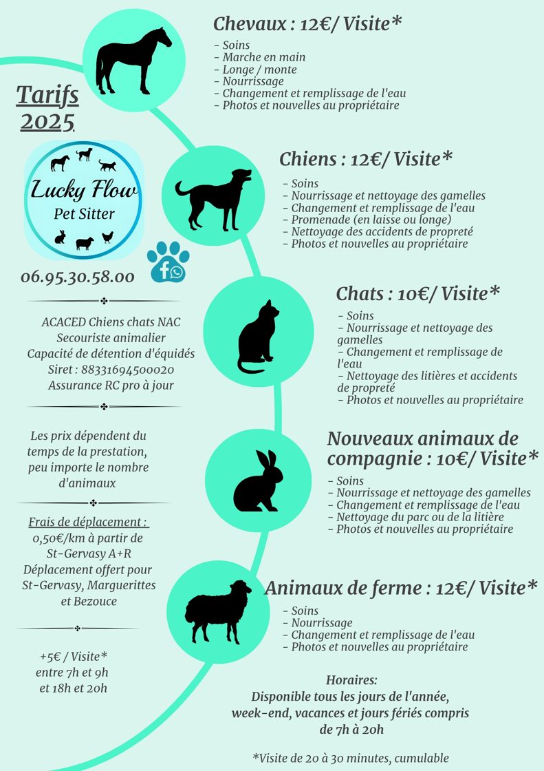 Colorful_Minimalist_Design_Process_Infographic_Poster_20250607_183007_0000.jpg